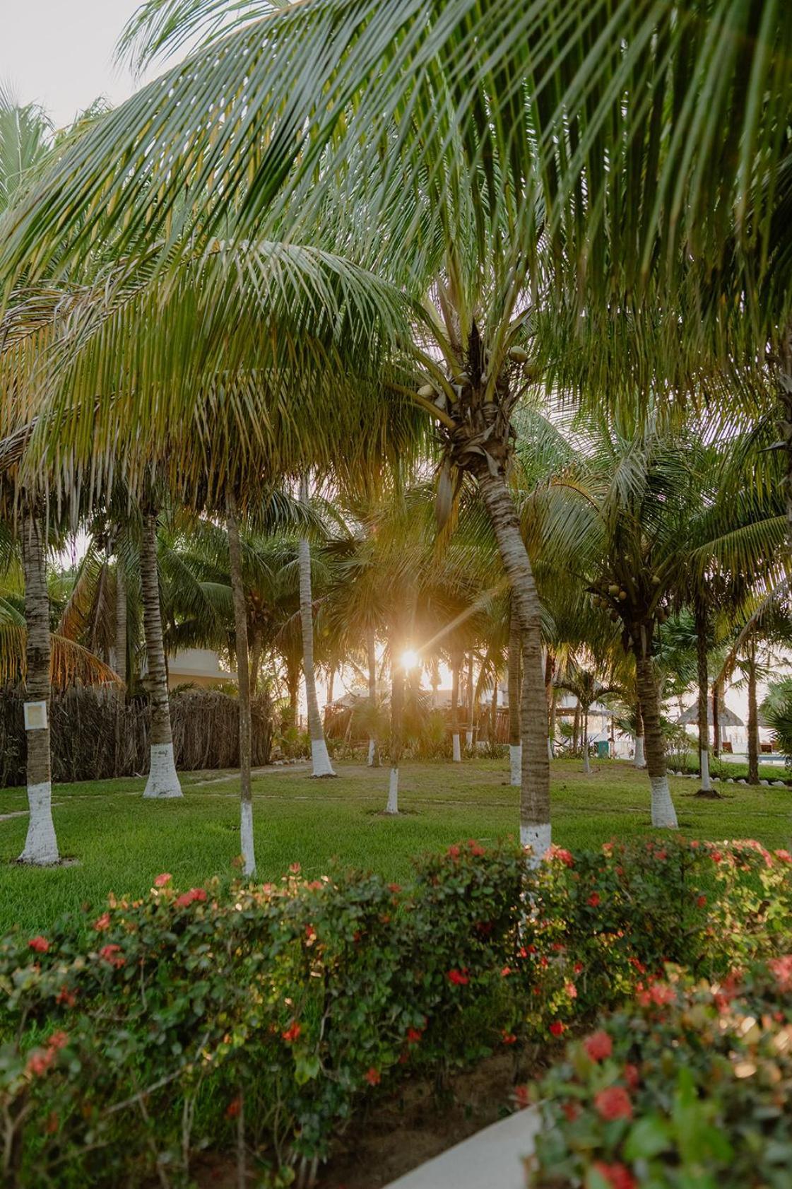 Hotel Puerto Holbox Buitenkant foto